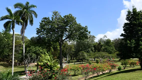 Royal Botanic Gardens