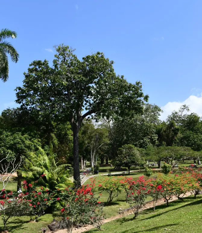 Port-of-Spain