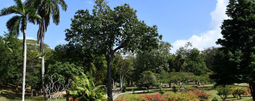 Royal Botanic Gardens