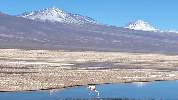Salar de Atacama