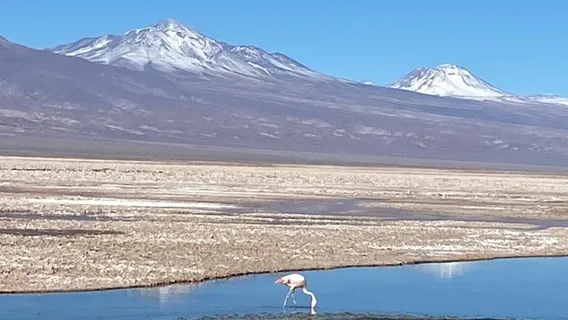 Salar de Atacama