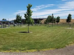 Amity Dog Park