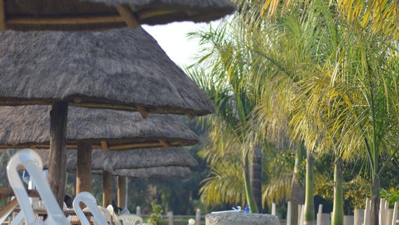 Forest Park Resort Buloba