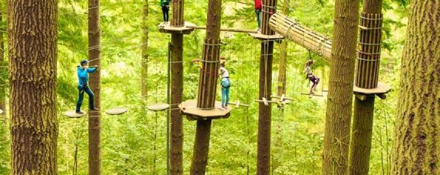 Go Ape Margam （Treetop Challenge, Zip Lines, Zip Wires, High Ropes）