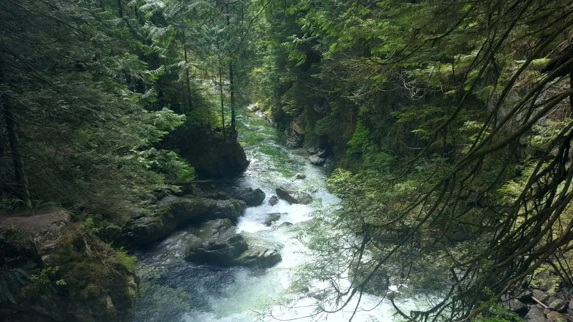 4_Lynn Canyon Suspension Bridge