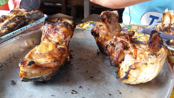 Iquitos