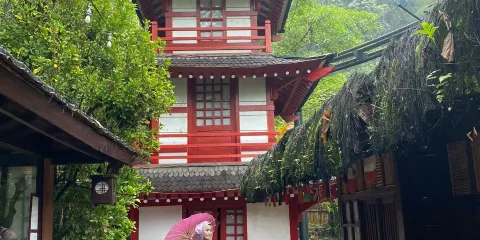 The Great Asia Africa