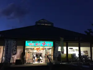Kintaichi-onsen Station