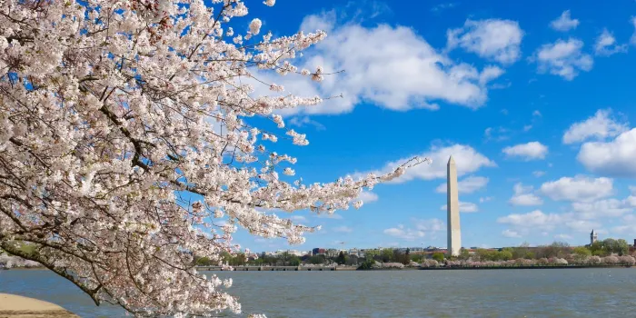 Tidal Basin image 2