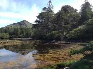 Derreen Garden(Gairdín Derreen)