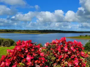 Roadford Lake