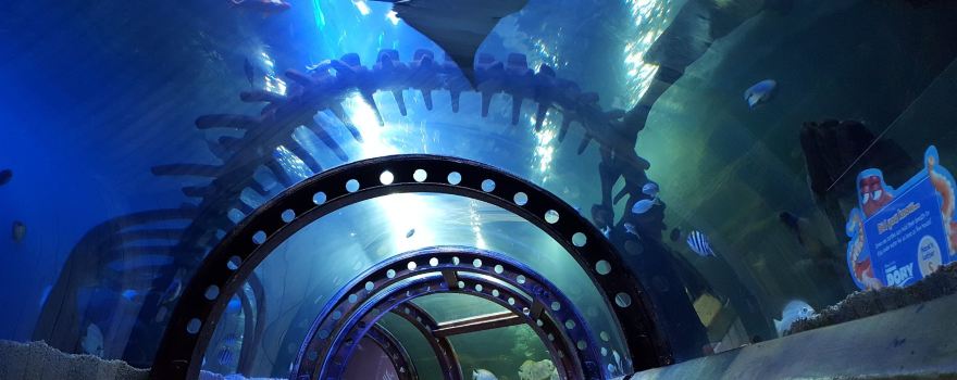 SEA LIFE Hunstanton