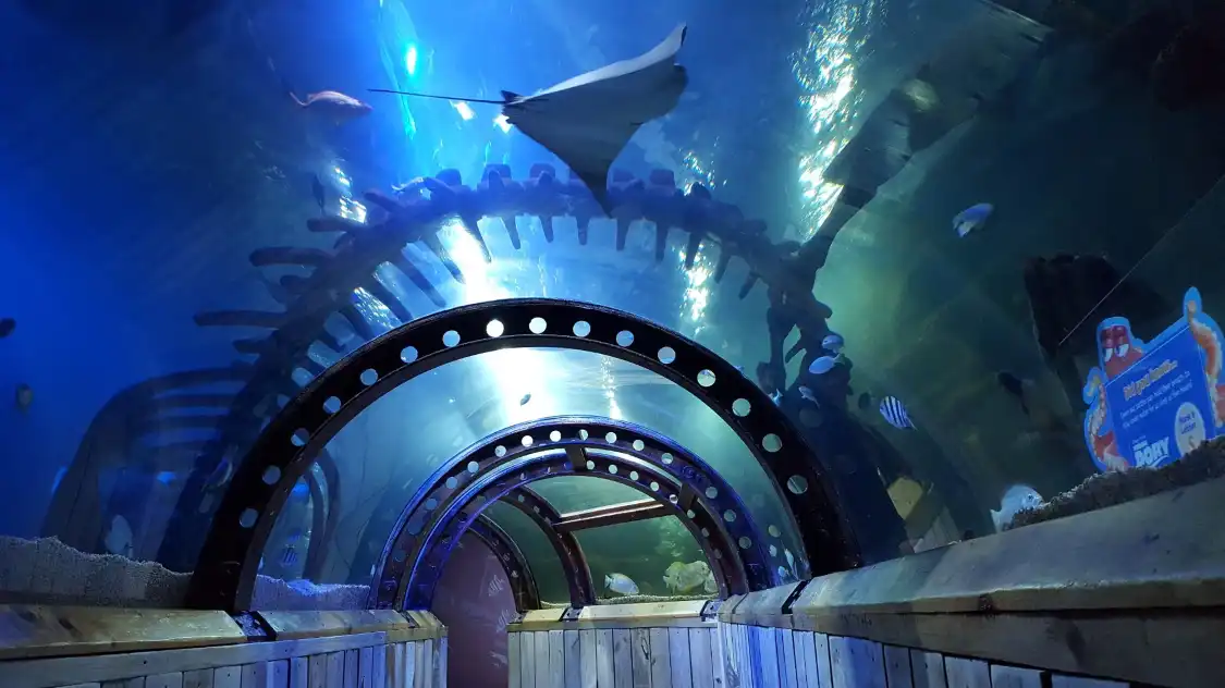 Hotels near SEA LIFE Hunstanton