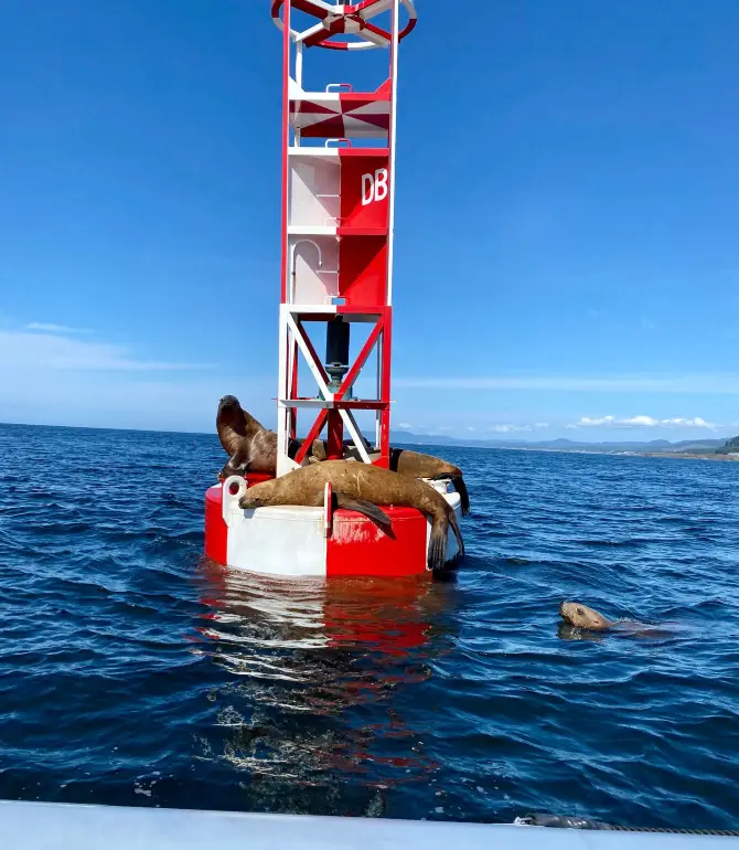 Depoe Bay