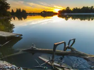 Earl Rowe Provincial Park