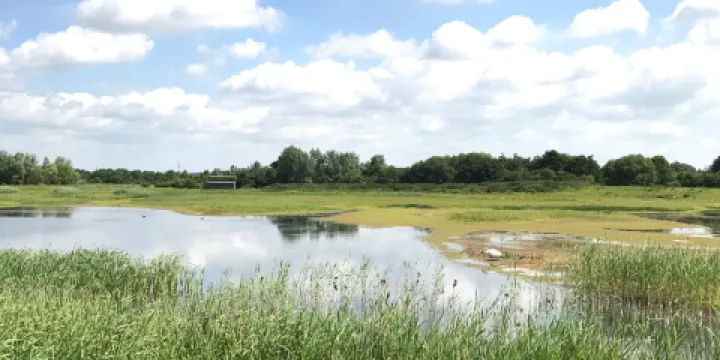 Summer Leys Nature Reserve
