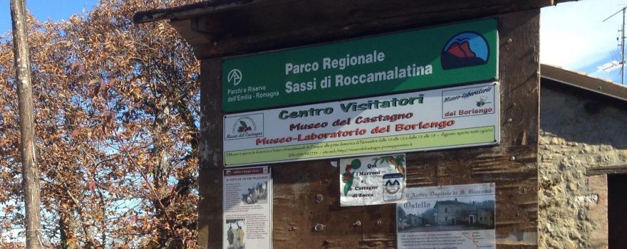 Museo del Castagno
