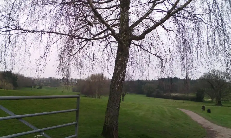 Hotel dekat Newbold Comyn
