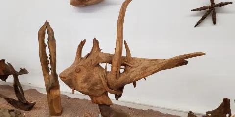 Musée des Mille et Une Racines