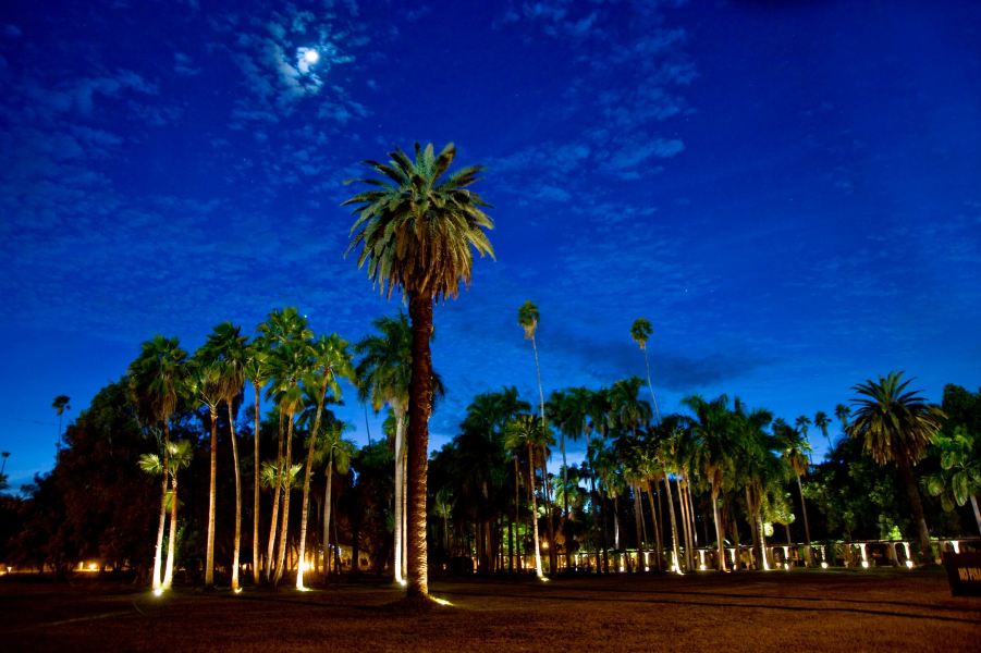 Porto to Los Mochis Flights