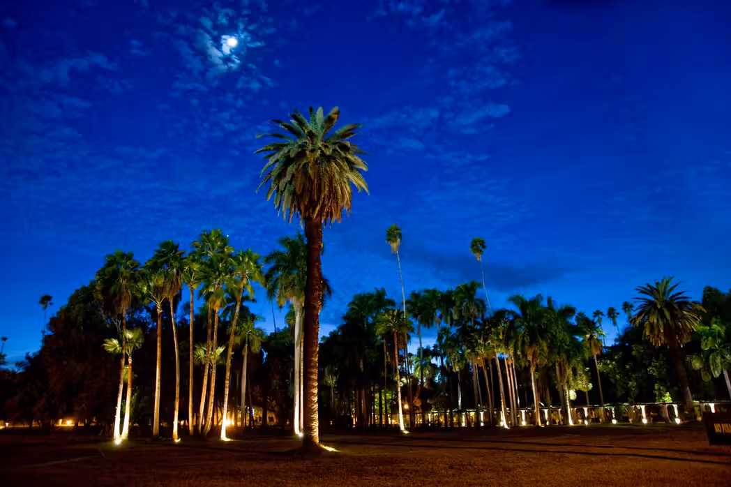 Salt Lake City to Los Mochis Flights