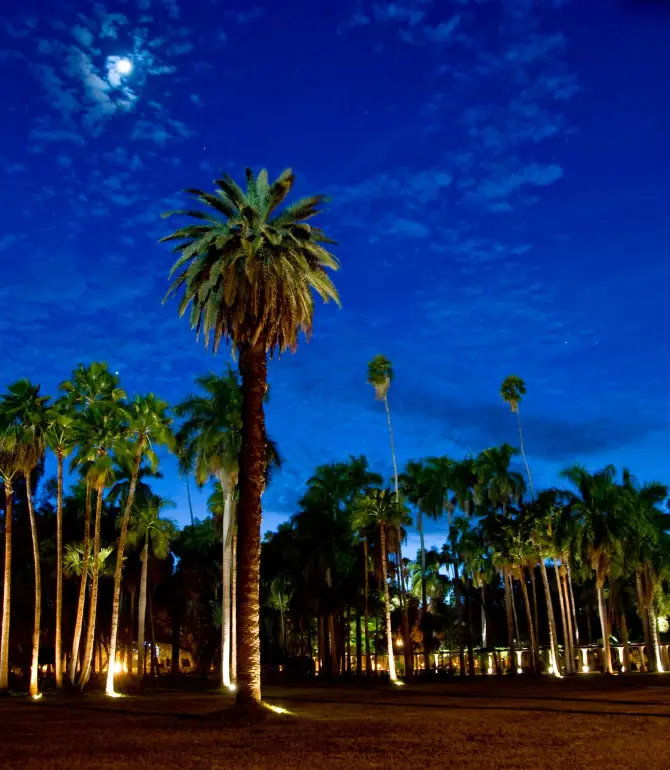 Los Mochis