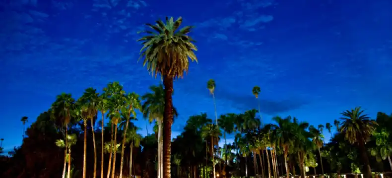 Hotels in Los Mochis