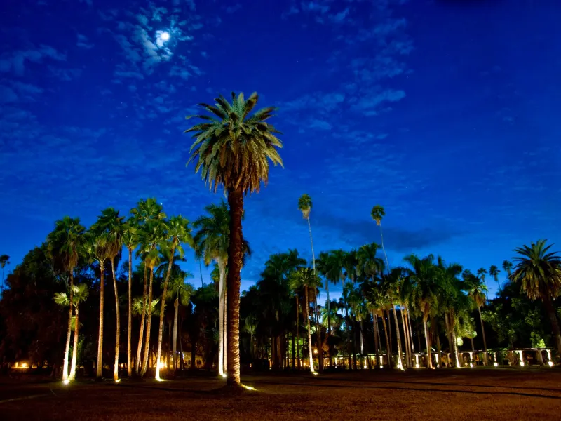 Los Mochis