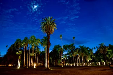 Los Mochis
