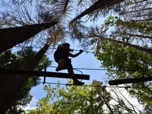 TREE ADVENTURE PARK