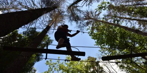 Parc Arbre Aventure