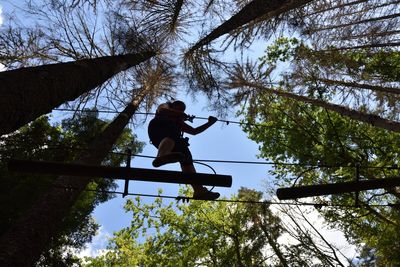 TREE ADVENTURE PARK