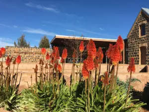 Philip Shaw Wines