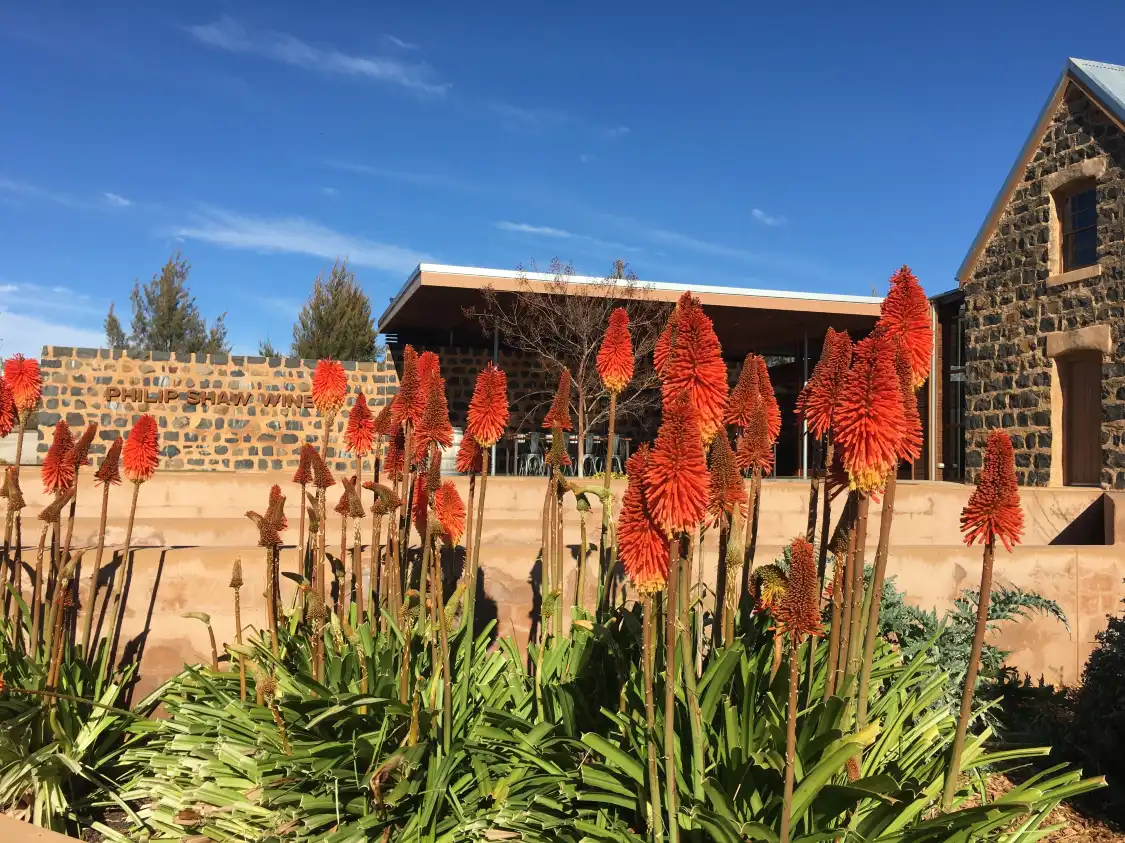 Hotels near Philip Shaw Wines