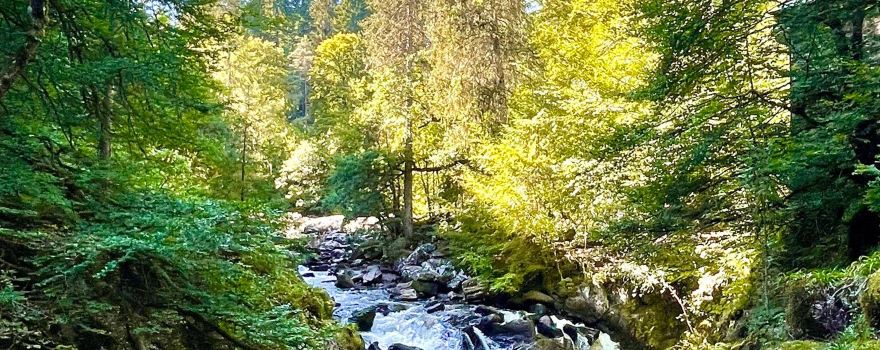 Dunkeld