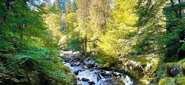 Hotéis em Dunkeld