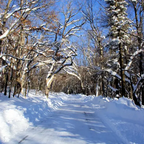 Herrington Manor State Park