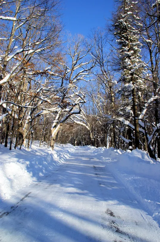 1_Herrington Manor State Park