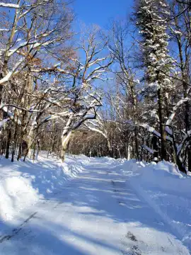 Herrington Manor State Park