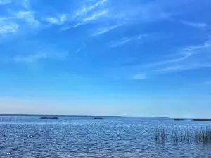 루딩턴 공원