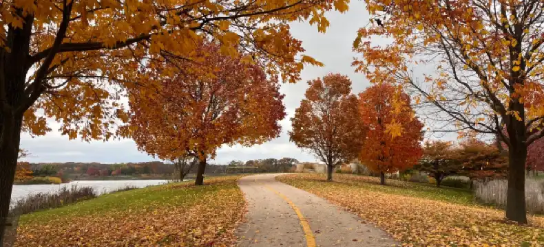 Hotels in Lake County