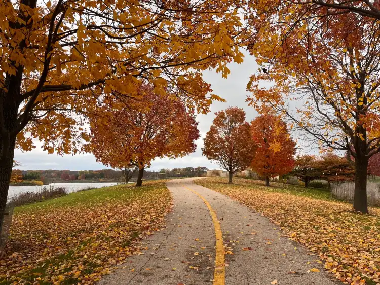 Hotels in Lake County