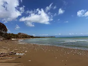 Ave Azul de la Osa