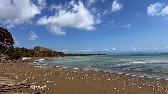 Puerto Jiménez