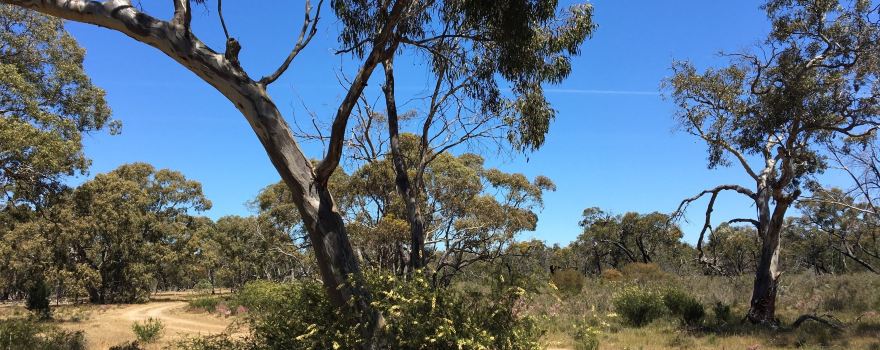 Jilpanger Nature Conservation Reserve