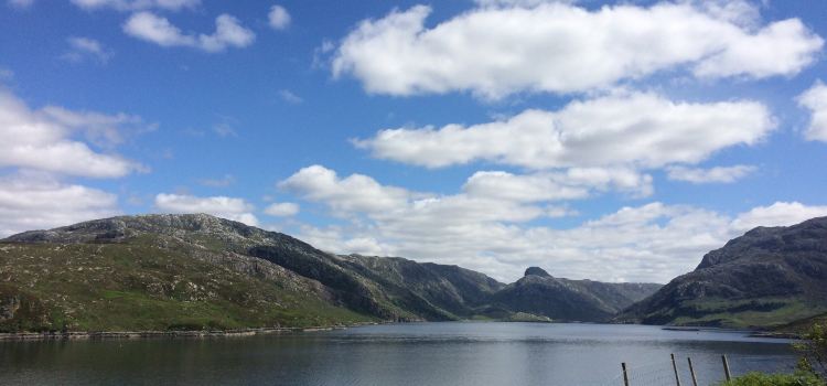 The Rock Stop
