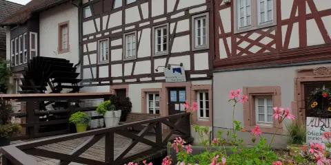 Museum unterm Trifels