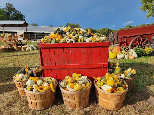 Dollinger Family Farm