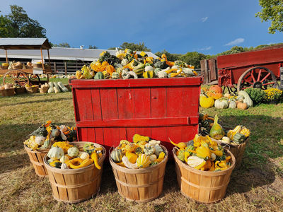Dollinger Family Farm