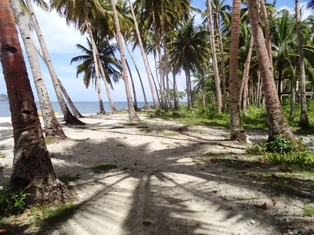 Hotels near Basul Island